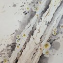 금강기획 - 장수군 장천로 222-2 | 금강기획
