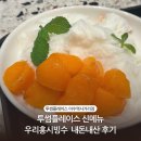 투썸플레이스 신메뉴 우리홍시빙수 내돈내산 후기