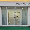 디어마이독 이미지