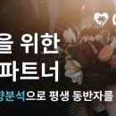 여수하늘목장 이미지