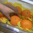 태현농장 이미지