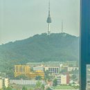 ㈜호텔롯데L7명동 | 명동 호텔 추천 L7 남산타워 뷰 숙소 서울 호캉스 특가