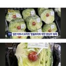 사이랩 Daum카페