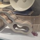 로던트클럽 강서마곡점 이미지