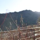 나봄온천 이미지