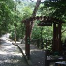 용다사 동종 | 전설 깃든 원주 치악산과 구룡사