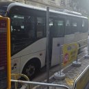 나노의료기 드림월드 | 홍콩여행 3일차(25.11.24 - 디즈니랜드)