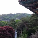 5월 빛고운 옥천사 금강경봉찬 방생 명상법회 이미지