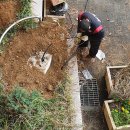 월곶초등학교 이미지