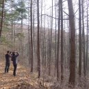 고은1리 이미지