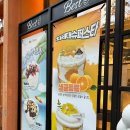 대전 슬로우브레드 내돈내산 후기 빵추천 / 풍자 또간집 빵지순례