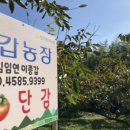 종갑농장 네이버블로그