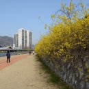 개나리민박 이미지