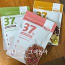 레디 | 레디블룸 프로틴 그래놀라 내돈내산 후기(유주얌 공구)