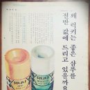 남정임 헤어