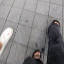 중앙초등학교 정문 맞은 편 횡단보도 | [성서제1능이버섯능이백숙] 초복 지나고 대구삼계탕맛집 에서 든든하게 한 끼 먹고 왔어요