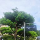 GS25안산시랑점 네이버블로그
