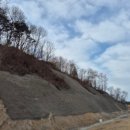 서대산로 이미지