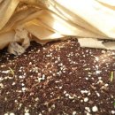 기특이네 농장 이미지