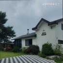 호영이네 하우스 이미지