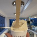 강릉순두부젤라또 | 강릉 순두부젤라또 2호점 후기, 순두부맛 우베맛 솔직 비교, 내돈내산