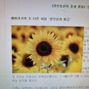 [전례 들여다보기] 종 이미지