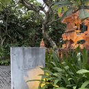 발리 숙소 추천, 짱구 숙소 풀빌라 블로썸 에코 럭스 빌라스(Blossom eco luxe villas)