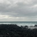 에바돈가츠 남원점 | 어른 1개월차 후기