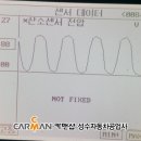 수리브라운 이미지