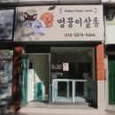 멍뭉이 살롱 이미지
