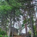 영랑호수윗길 이미지