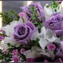 니가 참 좋아 이미지