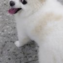 닥터강동물병원 이미지