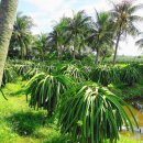 용등농장 이미지