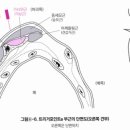 최수용한의원 이미지