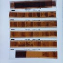 스마트폰 사진교실 | 홍대원데이클래스 선사진학원 스마트폰 사진 수업 후기