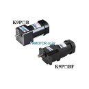 K9IP60FD 60W Single Phase 240V 50Hz 인덕션모터 이미지