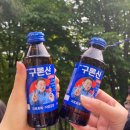 에스케이올림픽세탁소 | 비민라 - 뷰티풀 민트 라이프 뷰민라 2024 후기 (준비물, 티켓, 가방 검사, 88잔디마당 푸드존 음식)