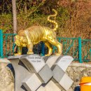 호랑이 체육관 이미지