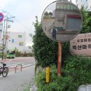 서울 서부권의 숨은 랜드마크, 방화대교와 원시 습지가 건네는 위로 이미지