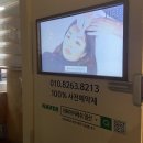 청순아이래쉬 | 일산속눈썹펌 잘하는곳 추천 백석역 개화아이래쉬 이용 후기