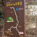 장학리노루목길(봄내길 8코스) 티스토리