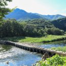 반야사부도2기 | 배롱나무 명소이기도 한 충북 영동 가볼만한곳 반야사