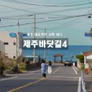 모음집 | 제주 서쪽 바닷길 BEST4 사진 찍기 좋은 숨은 포토존 모음 (금능, 고내, 한림, 신엄)