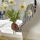 초롱하우스 이미지