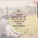 얼마나오렌지