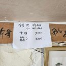 여수 나진의 집 이미지