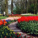 일표농장 이미지