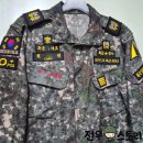 전우군장