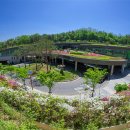 청년동물약국 이미지